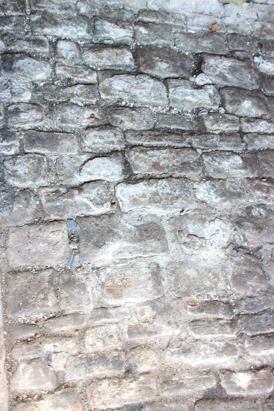 Image of pub stone floor stable 002 <h2>2018-05-05 - Part of original ancient floor uncovered at the Rose & Crown</h2>