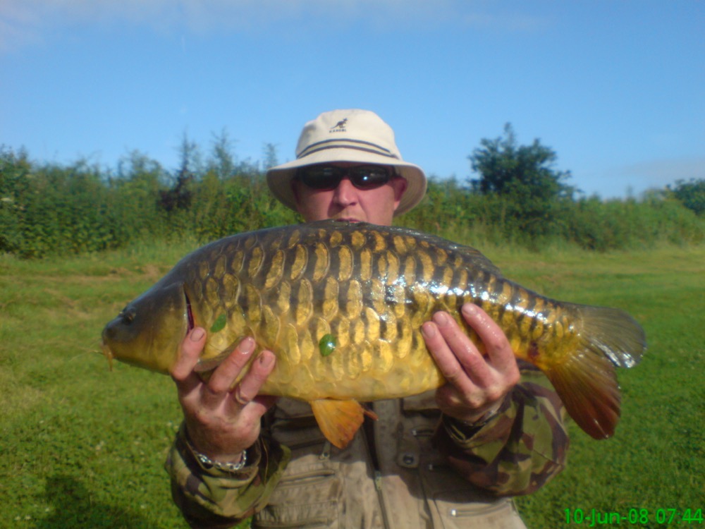 Image of caption_5